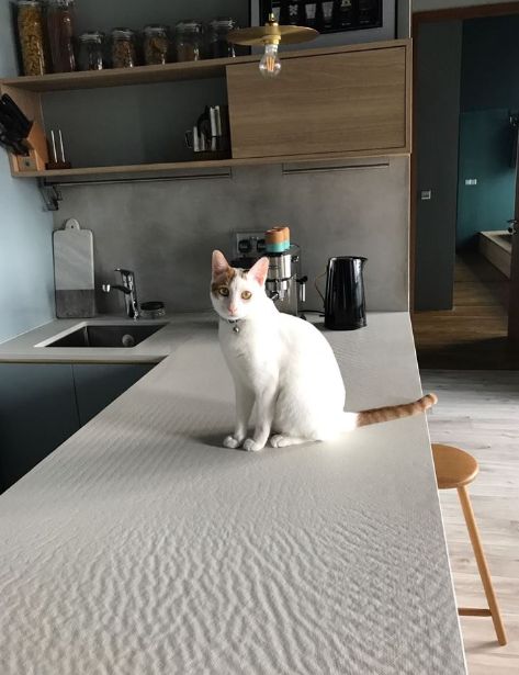 Basic SNV - Eco-Stone-Supernova